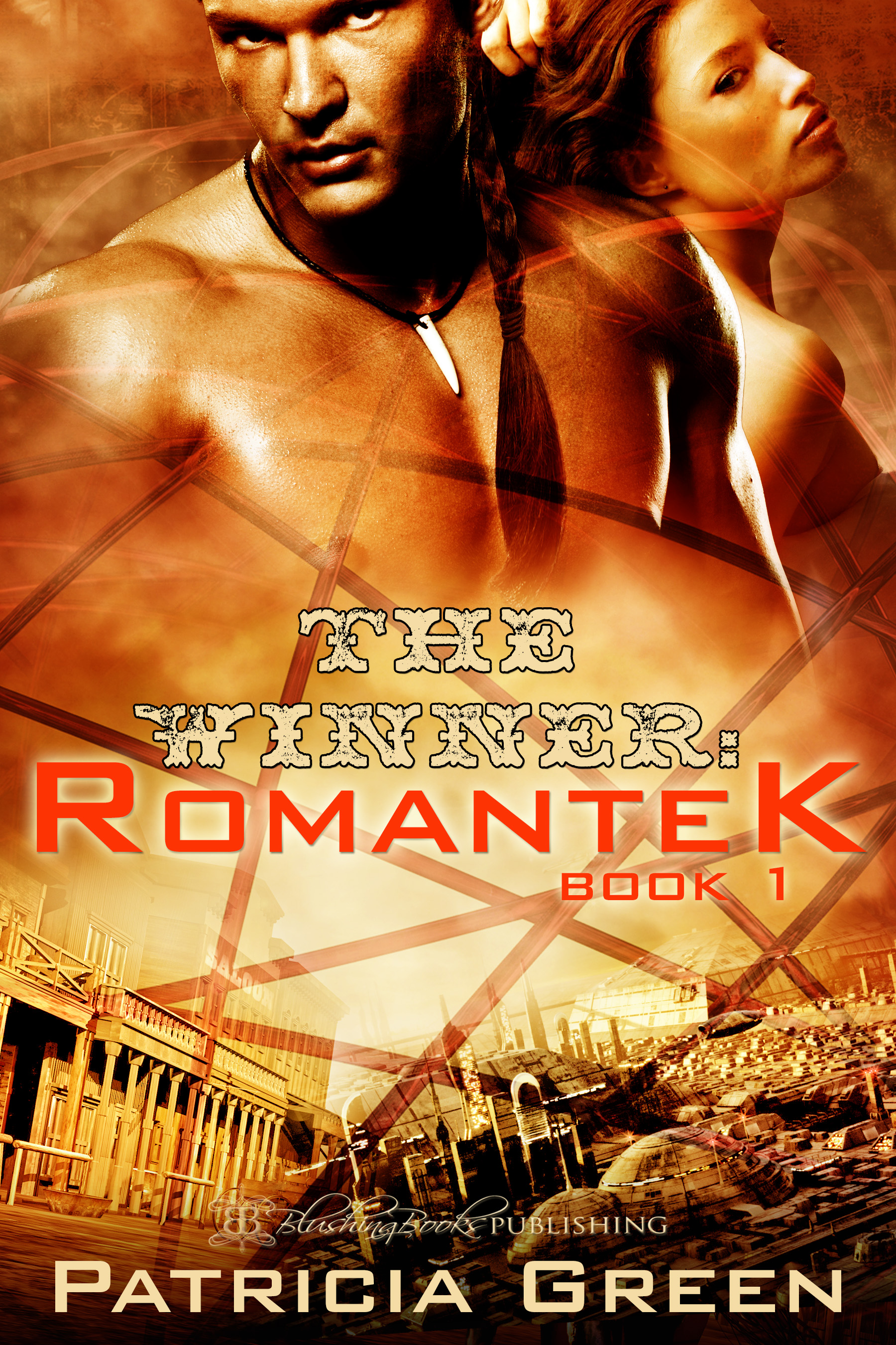 Cover: The Winner - Romantek Book One