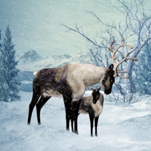 reindeer and fawn card 17665458_s