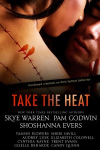 Cover: Take the Heat
